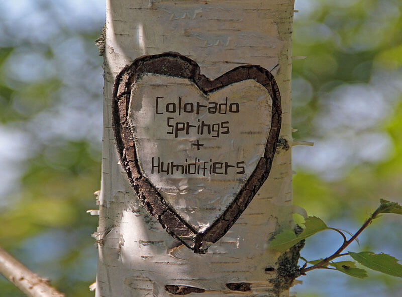 Colorado Springs and Humidifiers in a Tree Heart